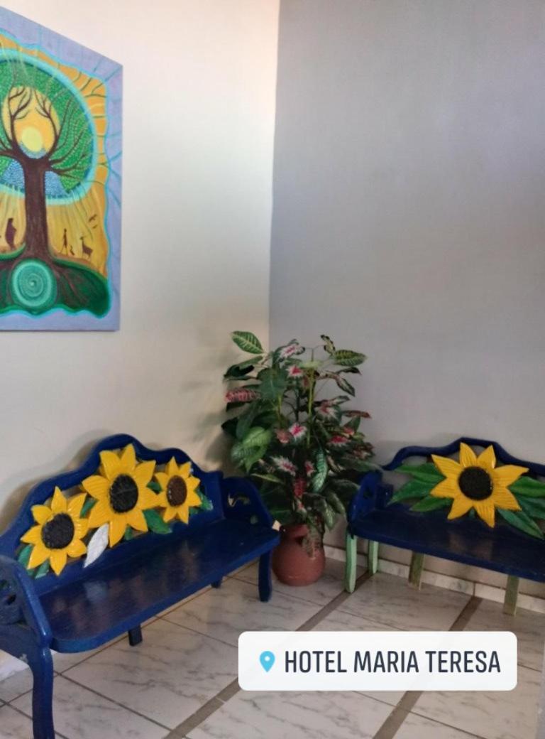 Hotel Maria Teresa Río Verde Εξωτερικό φωτογραφία